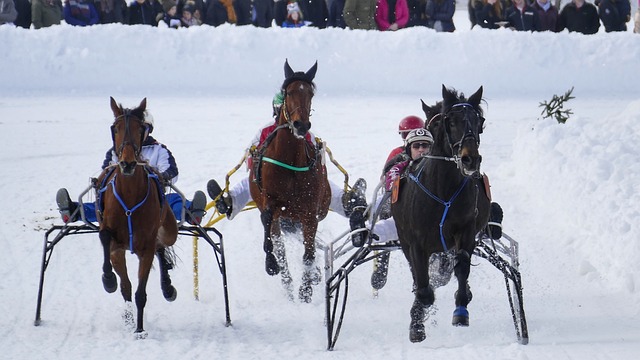 主教練托馬 主教練托馬