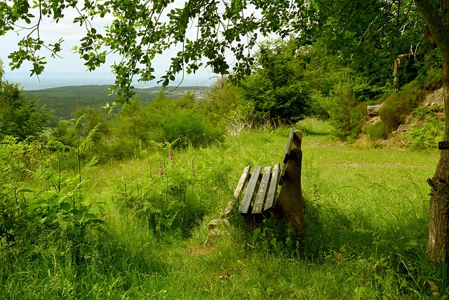 土耳其足球 土耳其足球