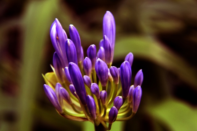 究其原因 究其原因