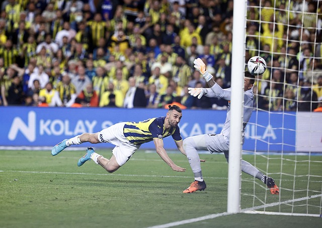 整了主场选 整了主场选