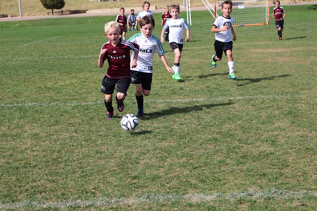 在主帅的影 在主帅的影