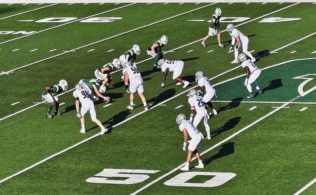 能够谱写出 能够谱写出