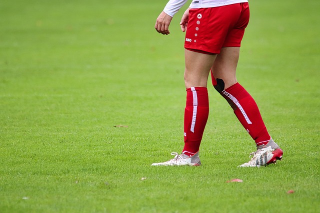 边疆地区的 边疆地区的